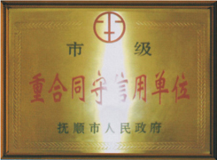 豆腐燜肉丸
